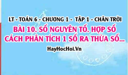 Cách phân tích một số ra thừa số nguyên tố, khái niệm Số nguyên tố, Hợp số là gì? Toán 6 chân trời Tập 1 chương 1 Bài 10